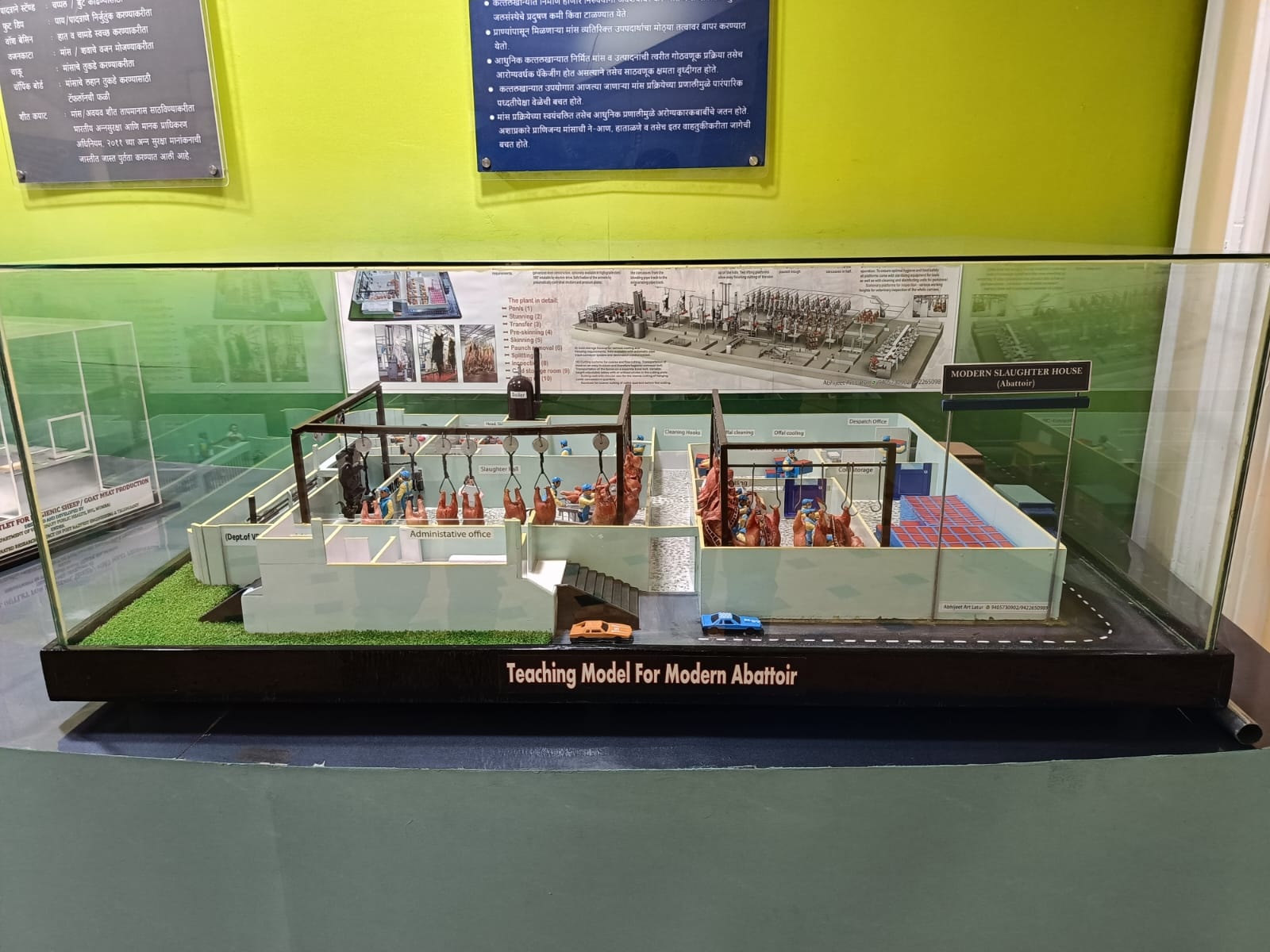 VPH Teaching Model Modern Abbatoir